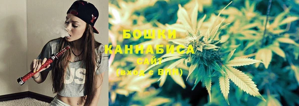гашик Абаза