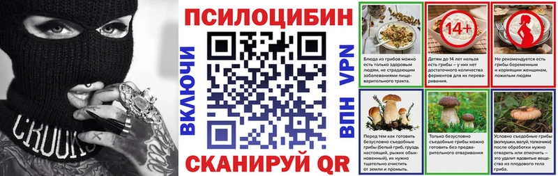 Псилоцибиновые грибы Psilocybine cubensis  blacksprut сайт  Новомичуринск 